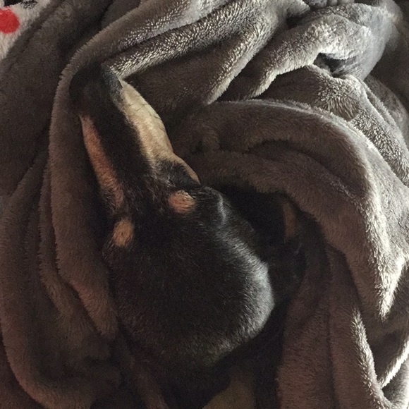 Meet your Posher, Melanie - Picture 2 of 3